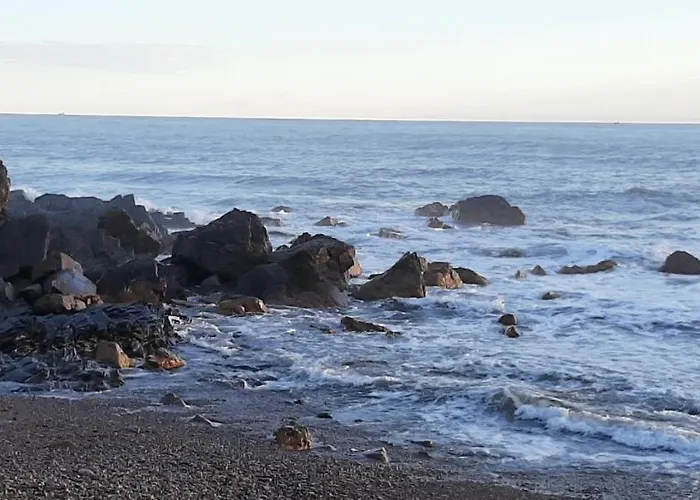 Maison Bord De Proche Des Sables D'olonne Talmont-Saint-Hilaire